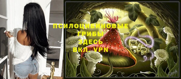 a pvp Абаза