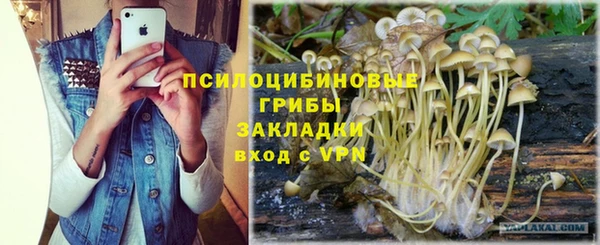 стафф Абинск