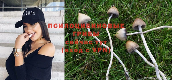 гидра Алексеевка