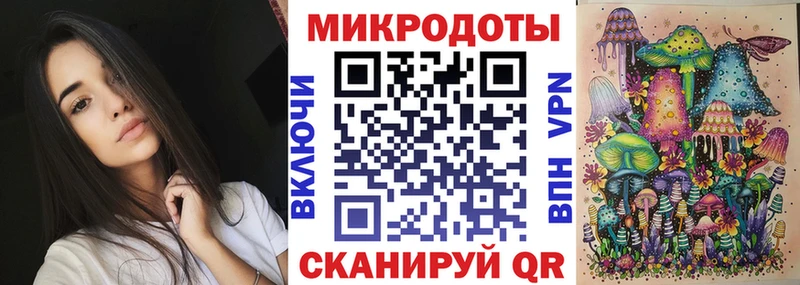 как найти   Питкяранта  Псилоцибиновые грибы Psilocybine cubensis 
